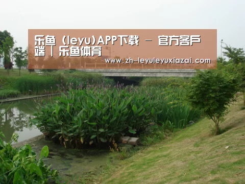 案例展示四(图1)