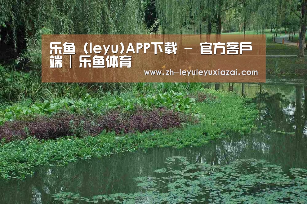 案例展示一(图1)
