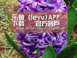 产品名称八