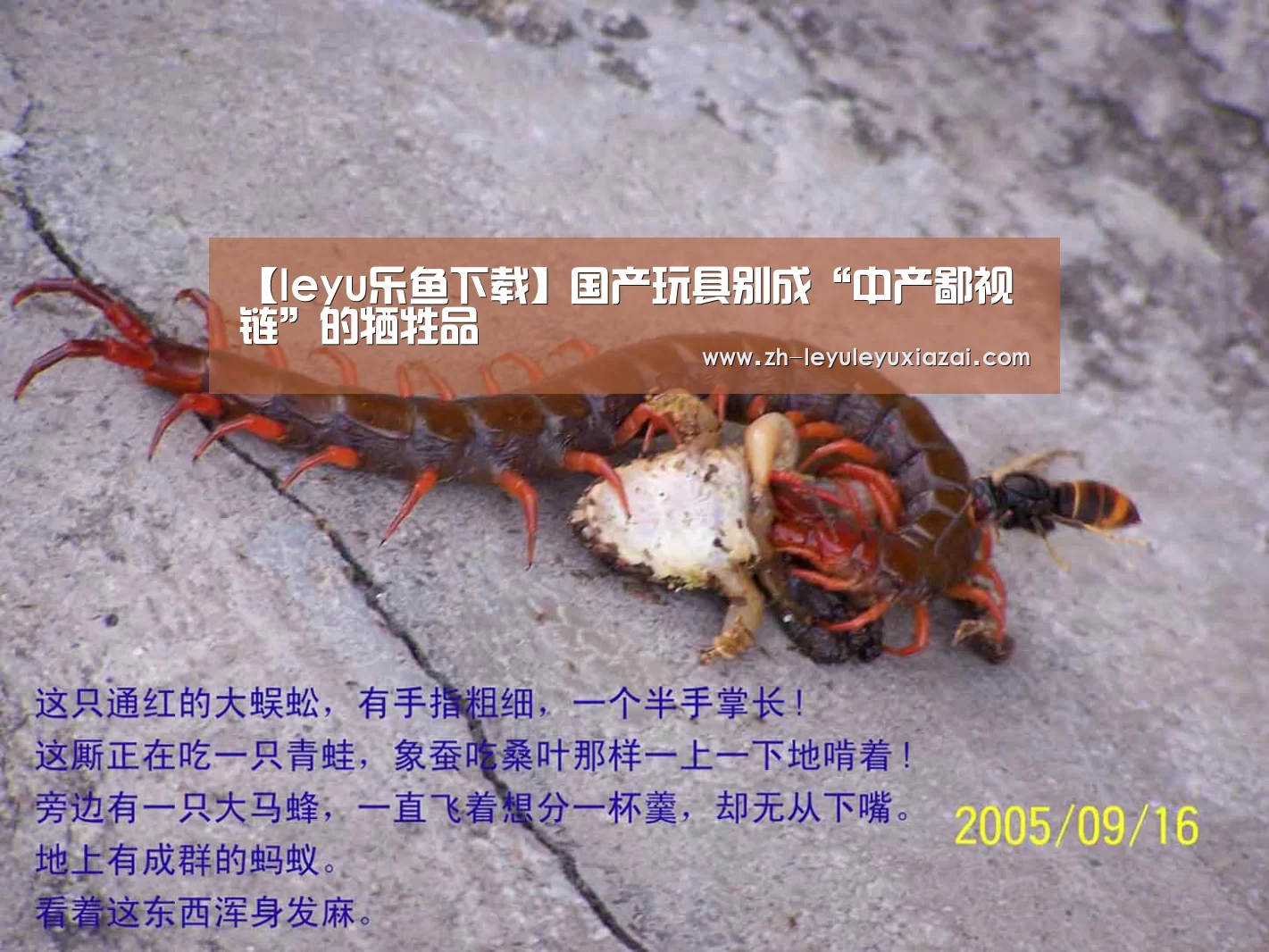 【leyu乐鱼下载】国产玩具别成“中产鄙视链”的牺牲品(图1) leyu乐鱼下载