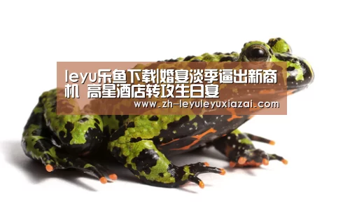 leyu乐鱼下载|婚宴淡季逼出新商机 高星酒店转攻生日宴(图1) leyu乐鱼下载