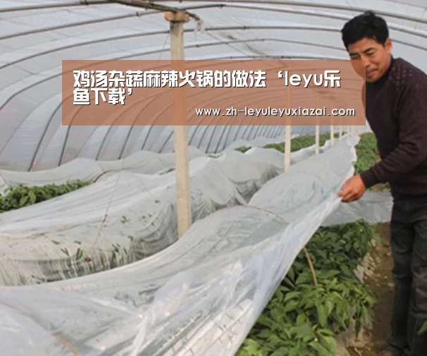 鸡汤杂蔬麻辣火锅的做法‘leyu乐鱼下载’(图1) leyu乐鱼下载